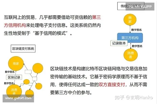 如何利用分布式账本实现自主身份? 如何利用分布式账本实现自主身份?